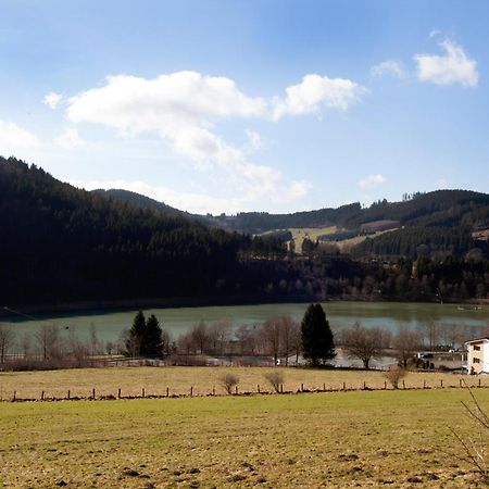 Fewo Hoher Eimberg Niedersfeld Lejlighed Winterberg Eksteriør billede